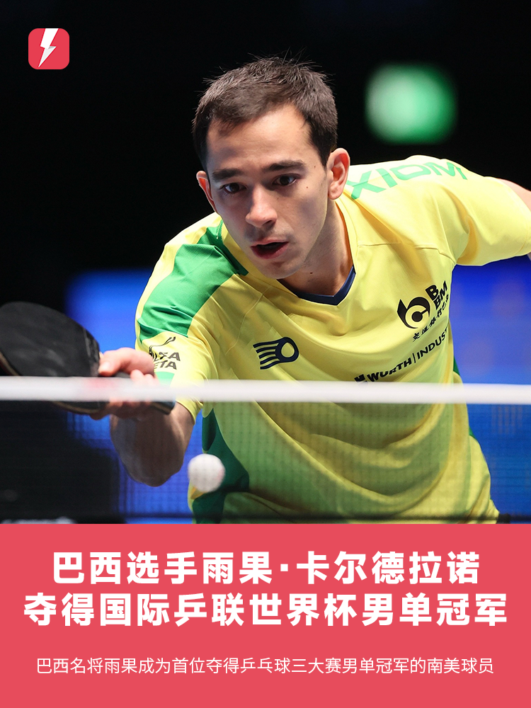 卫显然承担 卫显然承担